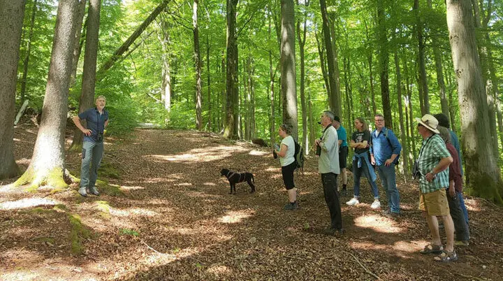 Treffen der Naturschutzverbände im Naturwaldreservat Kreuzbuckel | © DAV AB