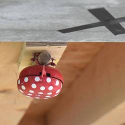 boulderfuncup-kinder-2025-04-09-104