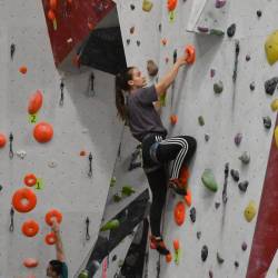 quali-erwachse-2210-033