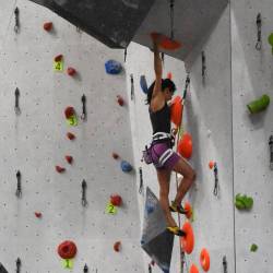 quali-erwachse-2210-088