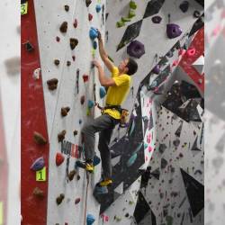 quali-erwachse-2210-090