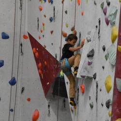 quali-kinder-2210-40